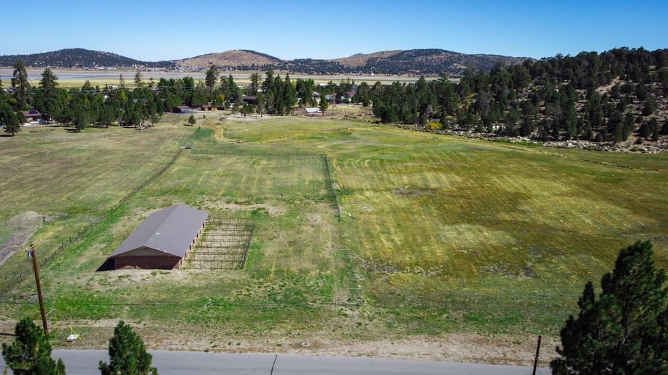 VIEWS - views of the meadow from the deck!