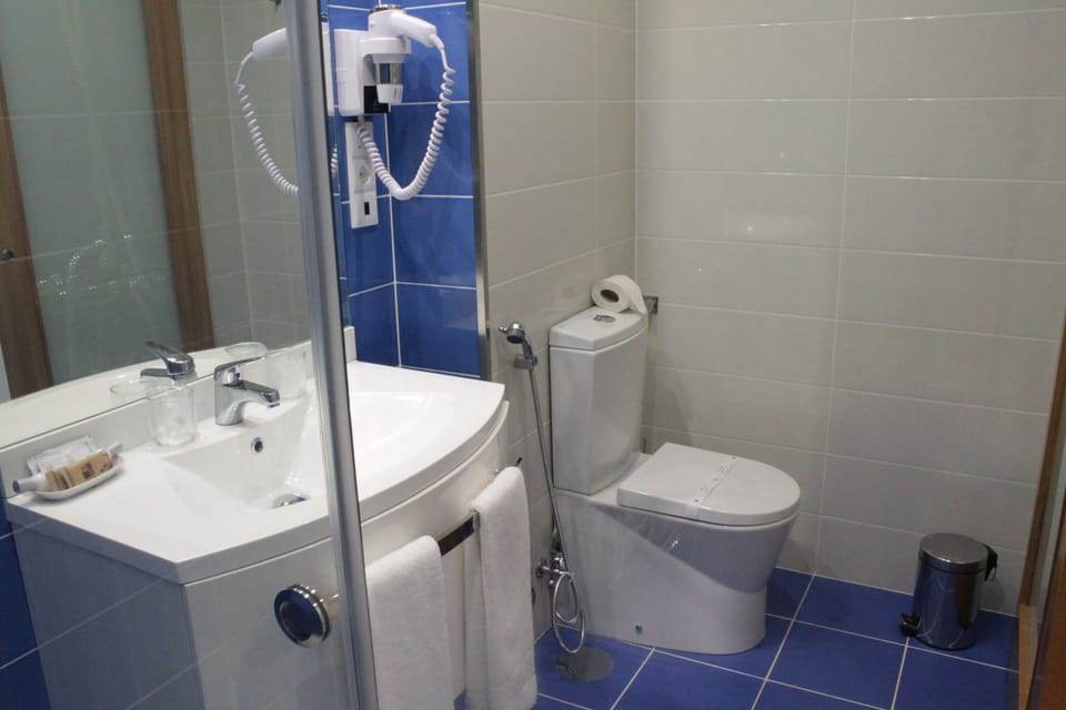 Double Room | Bathroom | Shower, towels