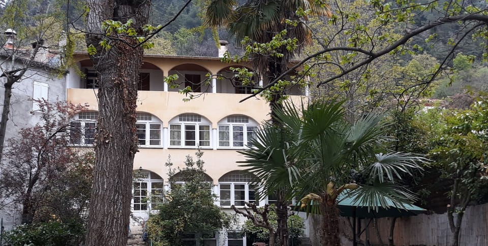 Back of house from garden