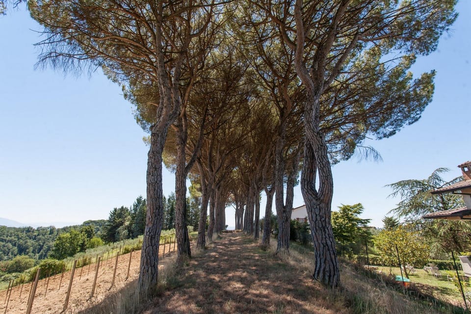 Villa, Multiple Bedrooms, Accessible, Private Pool | Miscellaneous
