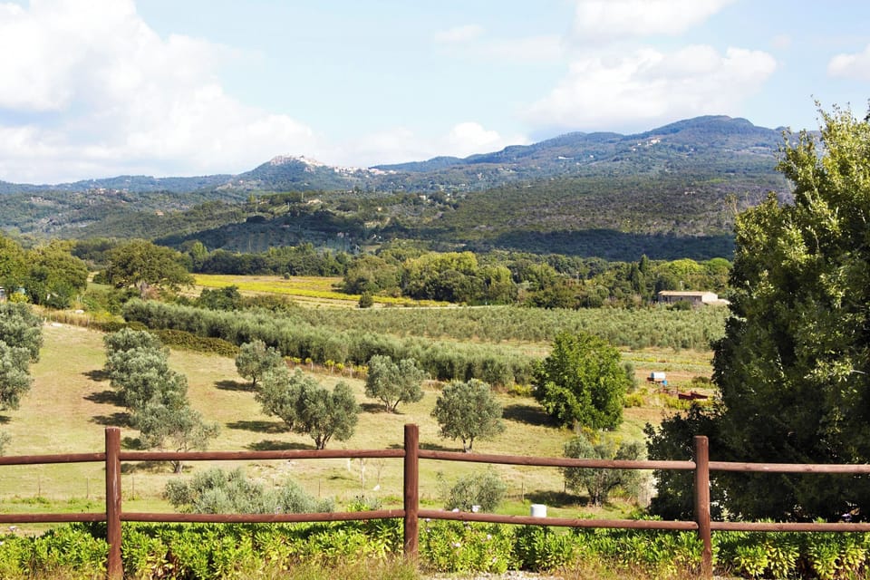 Villa, 3 Bedrooms, Accessible, Private Pool | View from property
