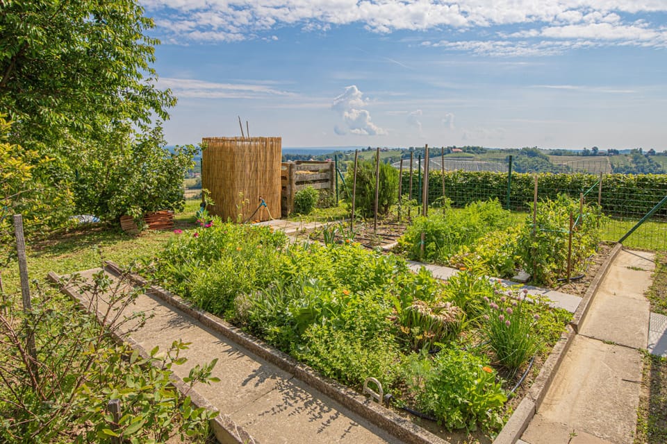 House, 2 Bedrooms, Smoking, Balcony | Garden
