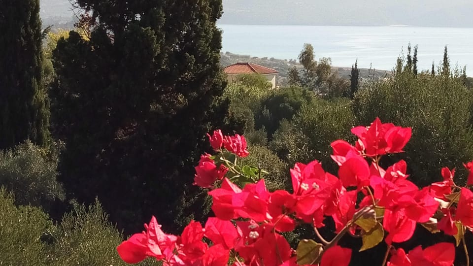 Villa, 3 Bedrooms, Balcony, Garden View | Property grounds