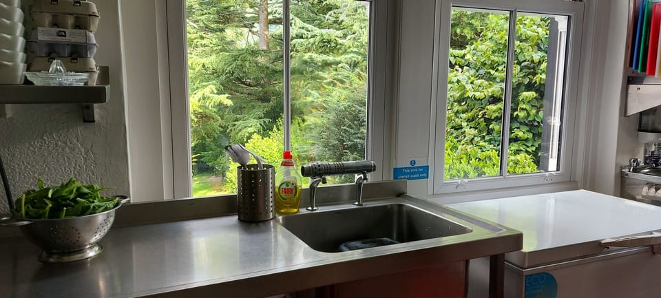 Commercial Kitchen - Sink