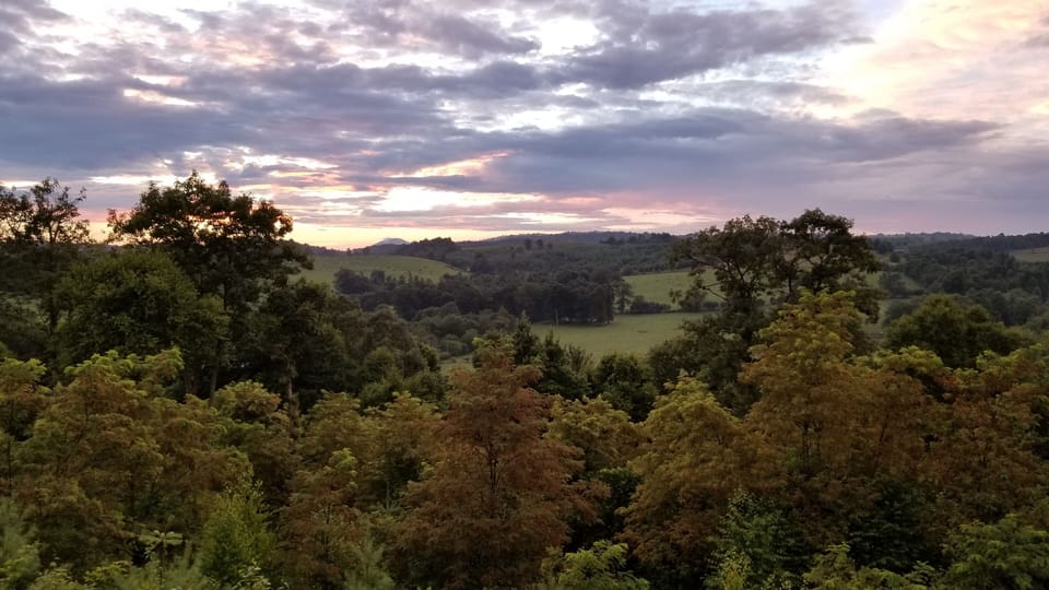 Buffalo Mountain from the deck, looking beyond Moo Meadow