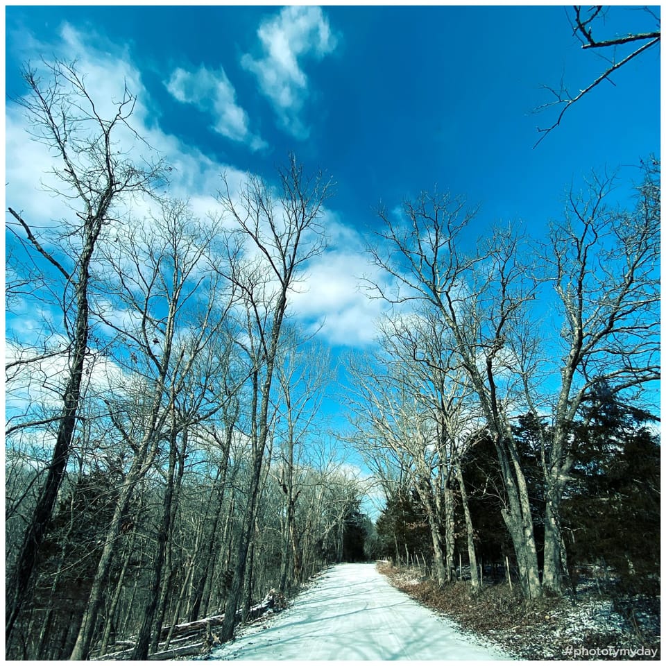 Besmer Road Snow 2021