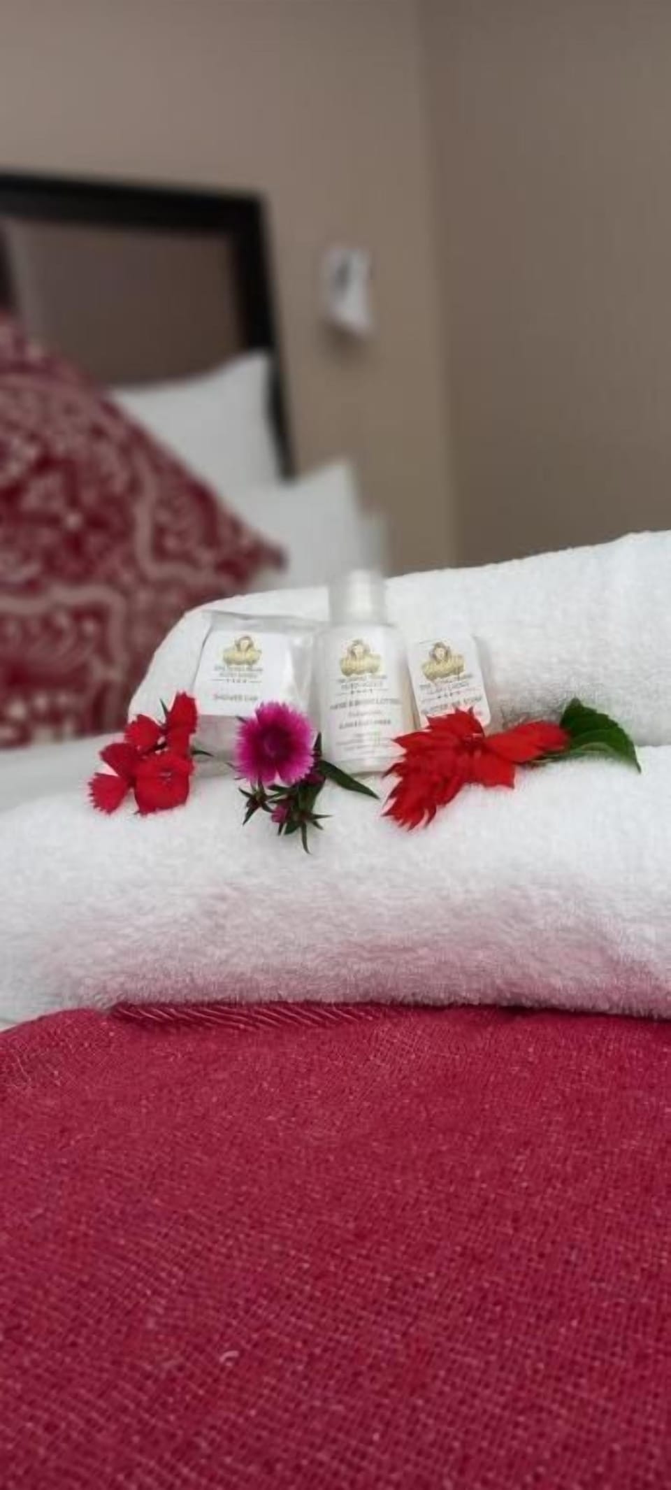 Premium bedding, desk, laptop workspace, free WiFi