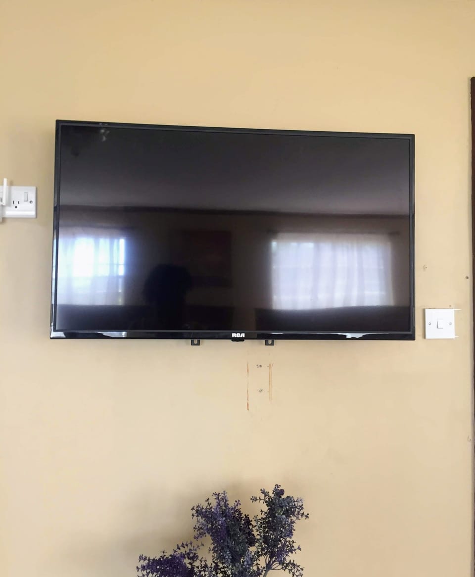 Television