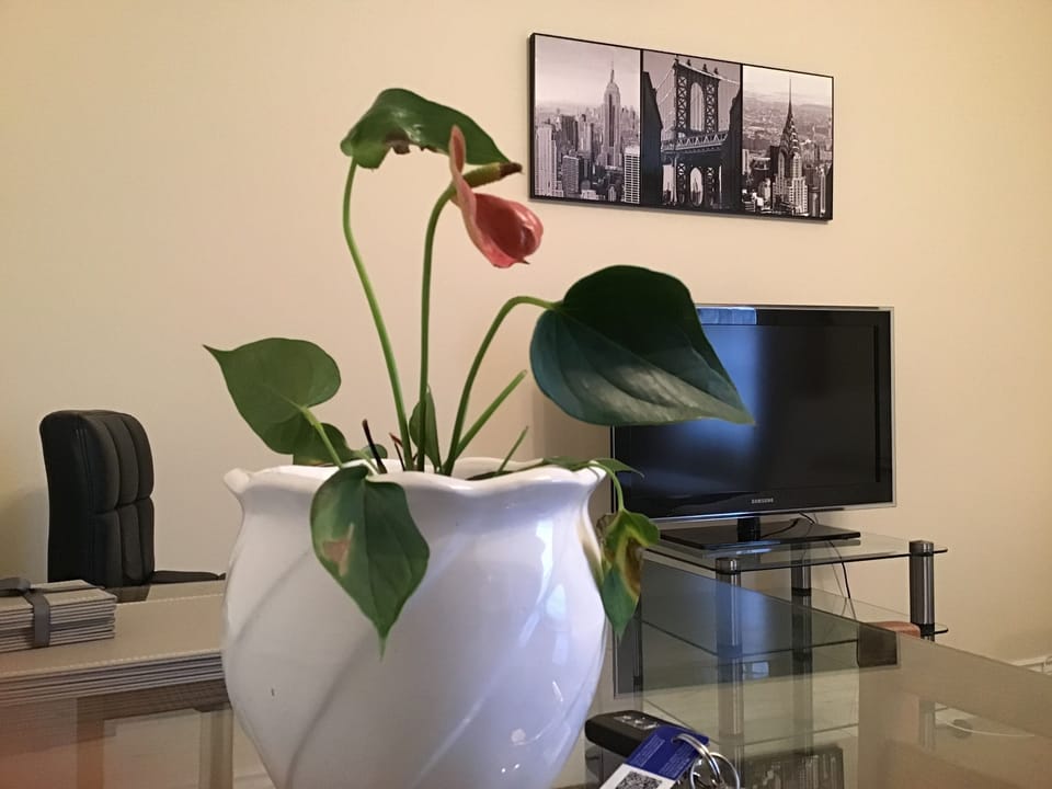 Apartment, Private Bathroom | Lounge