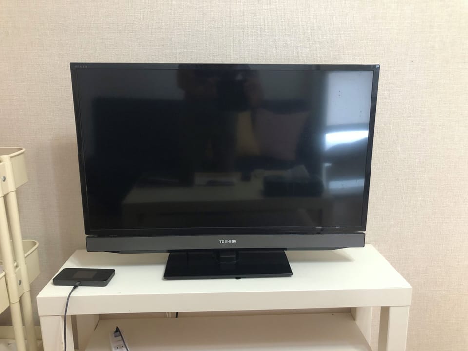Television