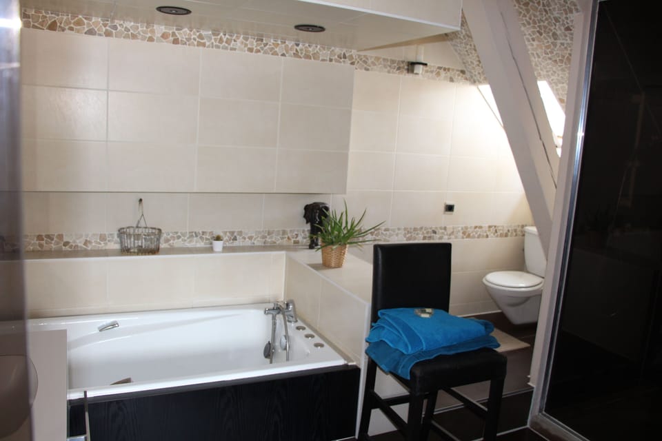 Chambre 2 à 4 personnes salle de bain séparée | Bathroom | Shower, hair dryer, towels, toilet paper