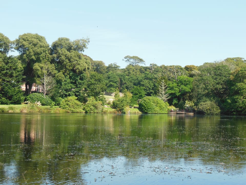 View of the grounds