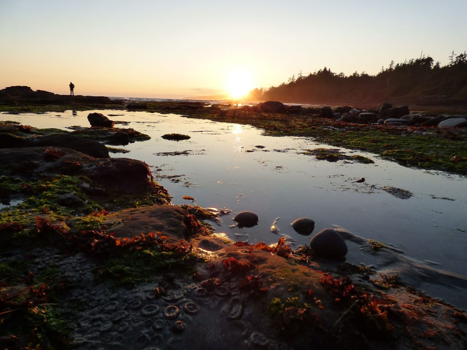 The nearby beaches and forests provide plenty of opportunity to explore