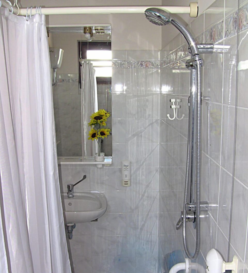 Traditional Double Room, Terrace | Bathroom | Shower, hair dryer, bidet, towels