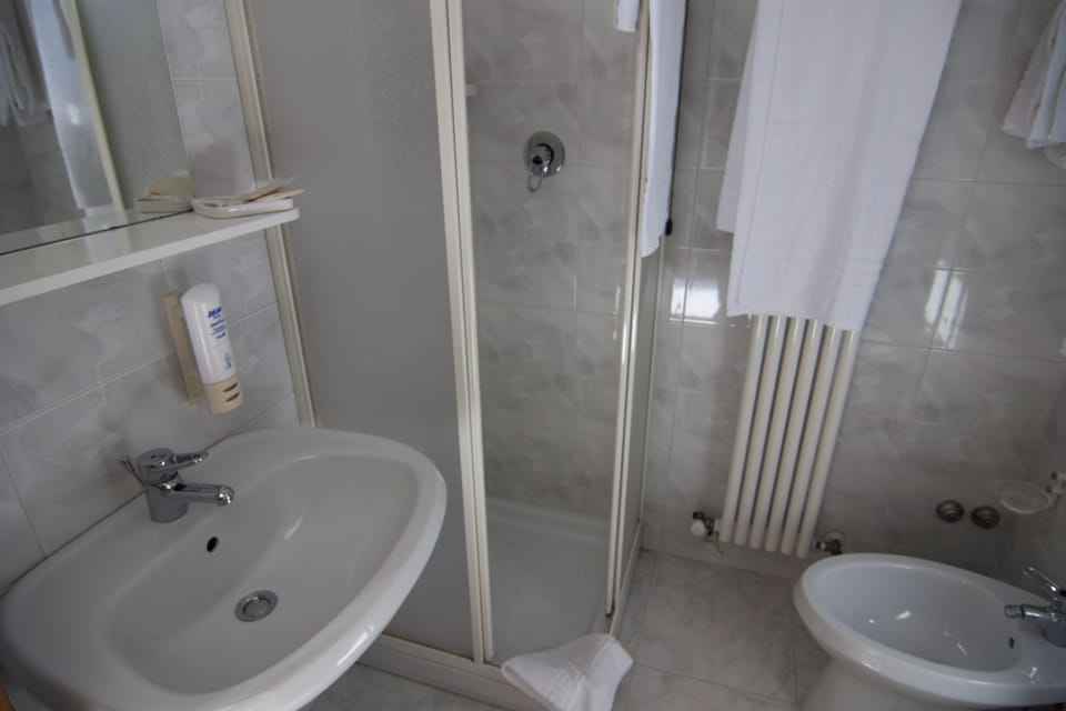 Traditional Single Room, Terrace | Bathroom | Shower, hair dryer, bidet, towels