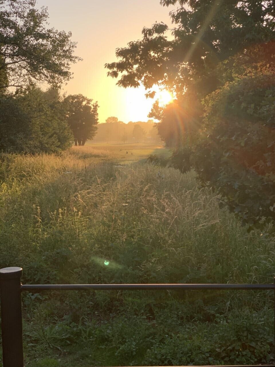 View onto golf club
