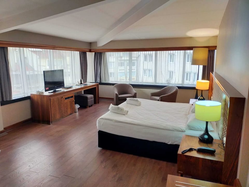 Executive Room, 1 Queen Bed, with Jacuzzi | Minibar, in-room safe, blackout drapes, WiFi (free)