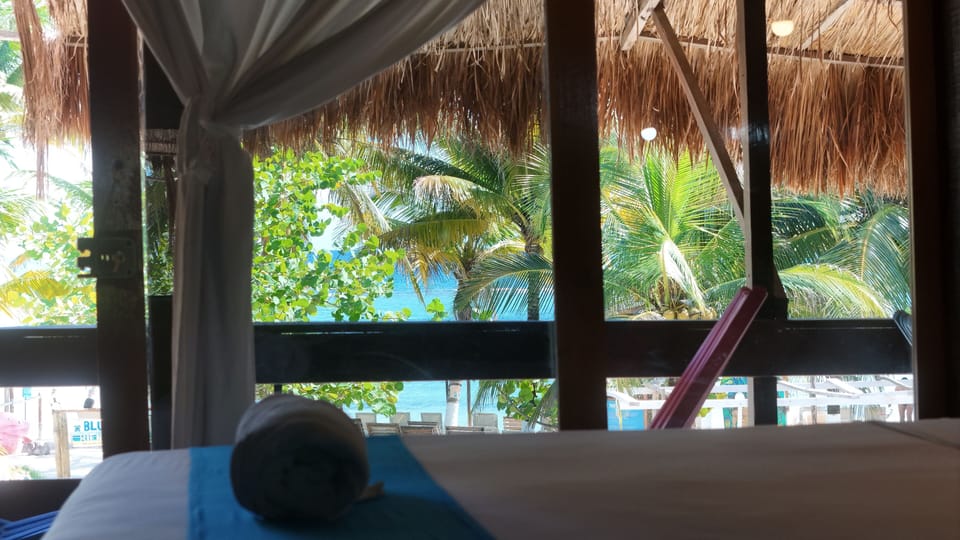 Junior Suite Vista al Mar | Private kitchen