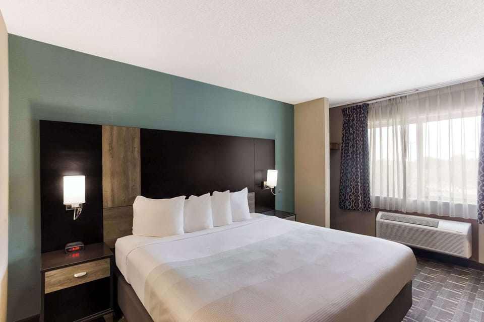Standard Room, 1 King Bed, Non Smoking | Premium bedding, individually furnished, desk, soundproofing