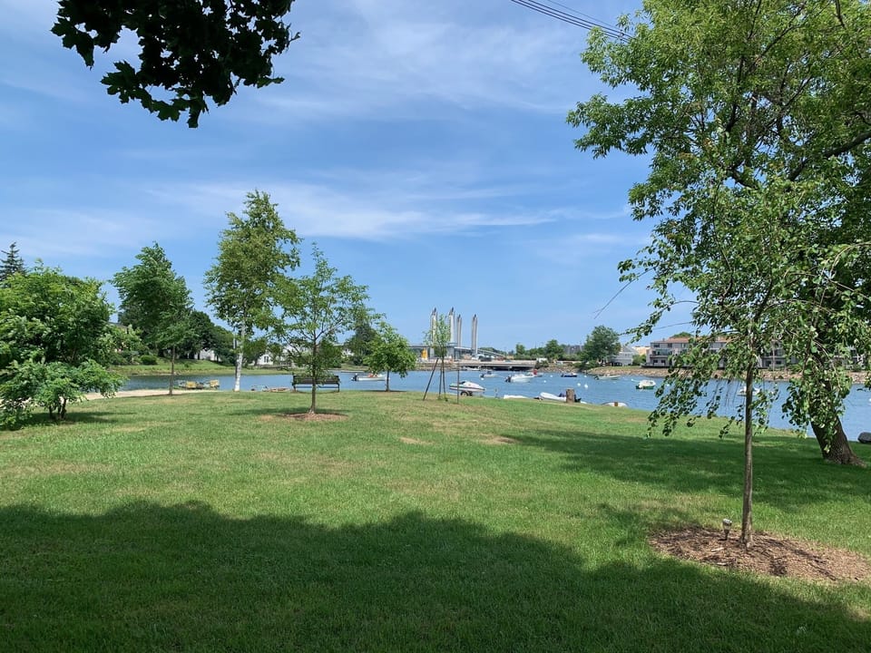 View from the patio in the summer!