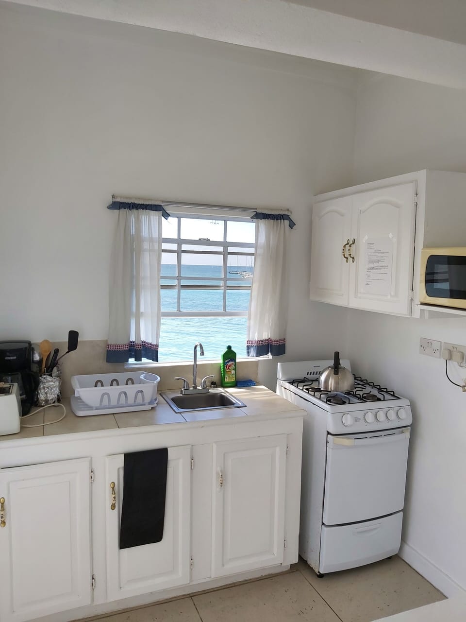 Microwave, freezer
