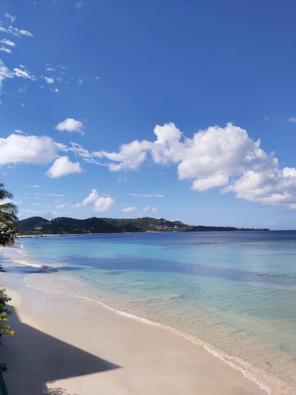 Grand Anse Beach Palace Hotel in Saint George