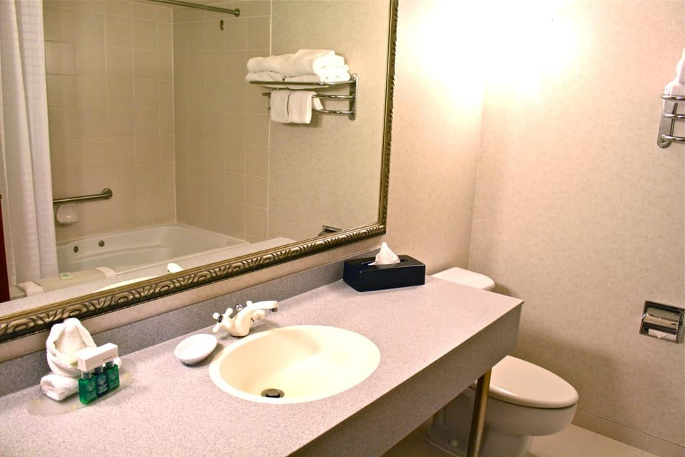 Combined shower/tub, hair dryer, bathrobes, towels