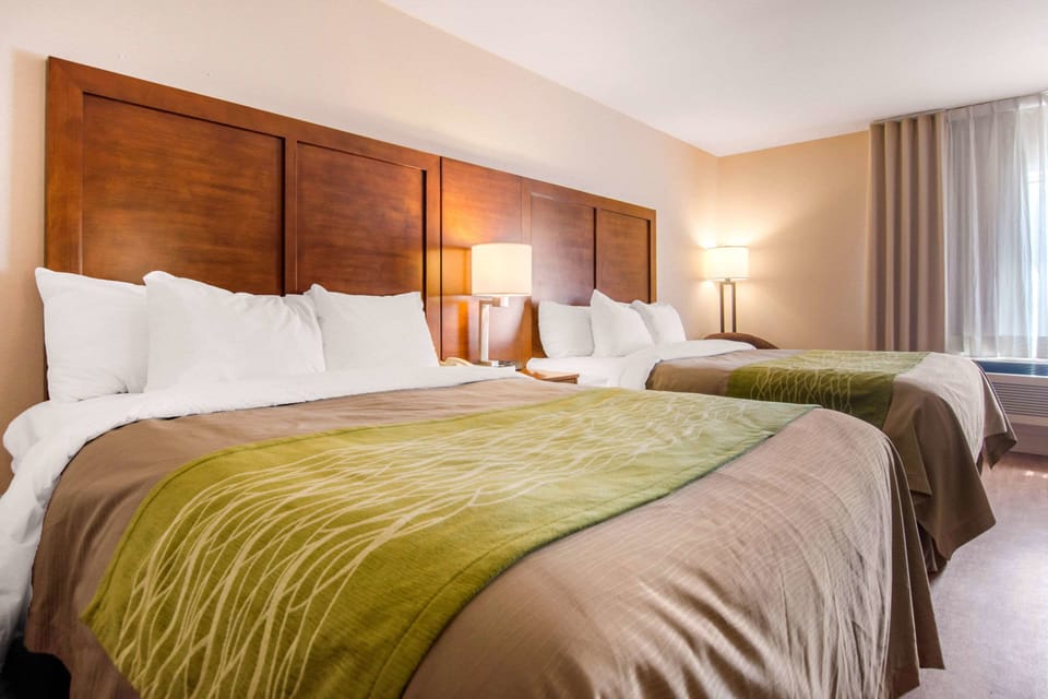 Standard Room, 2 Queen Beds, Non Smoking | Premium bedding, desk, blackout drapes, iron/ironing board