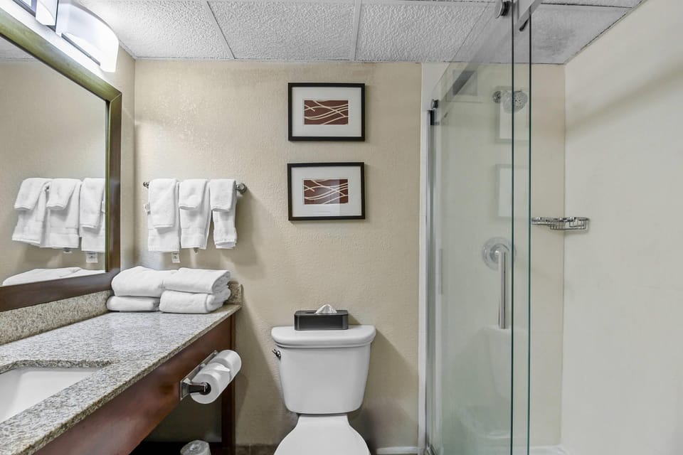 Standard Double Room, 2 Double Beds, Non Smoking | Desk, laptop workspace, blackout drapes, soundproofing