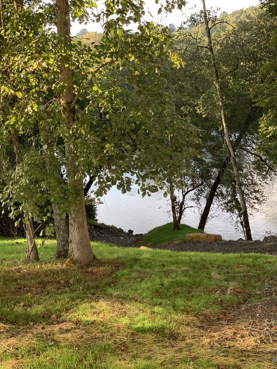 Walking path to river - view from driveway in from of cabin