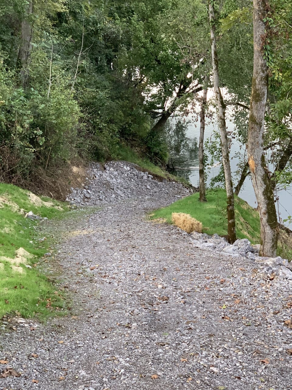 Walking path to the river.  Photo taken from back porch.