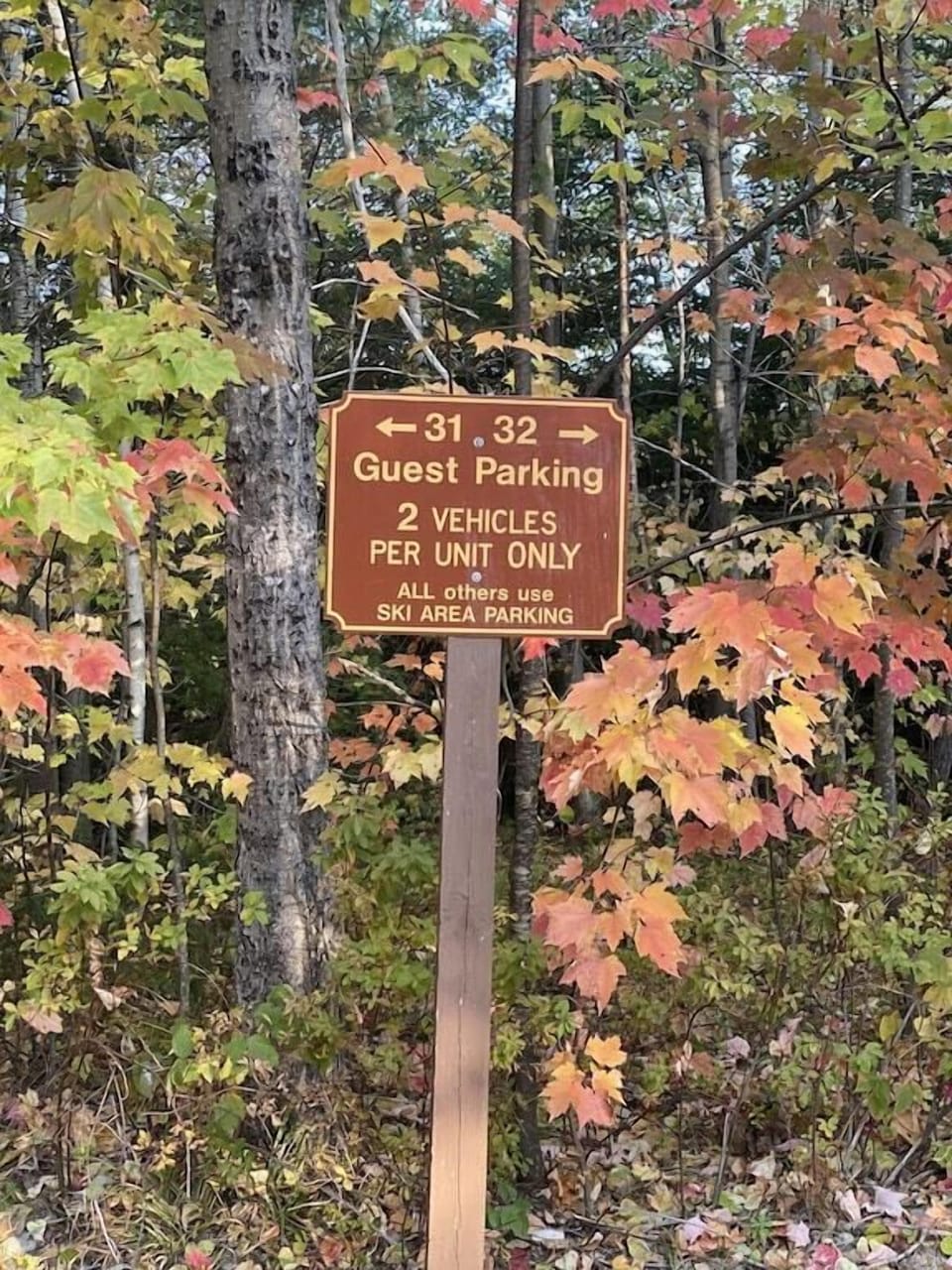 Park in the overflow lot directly across from the driveway entrance. (1) car 