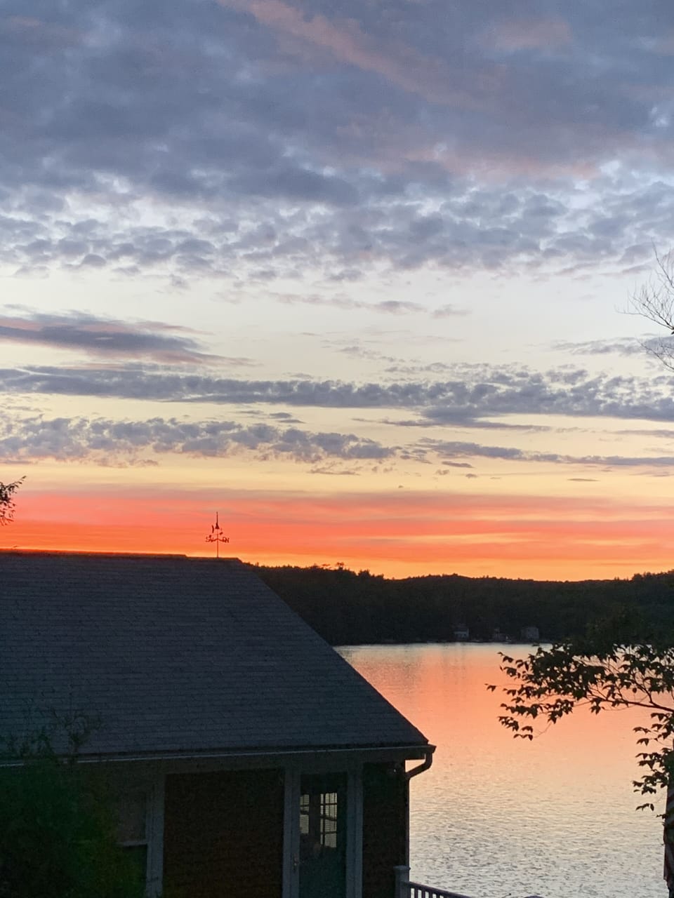 evening summer sky