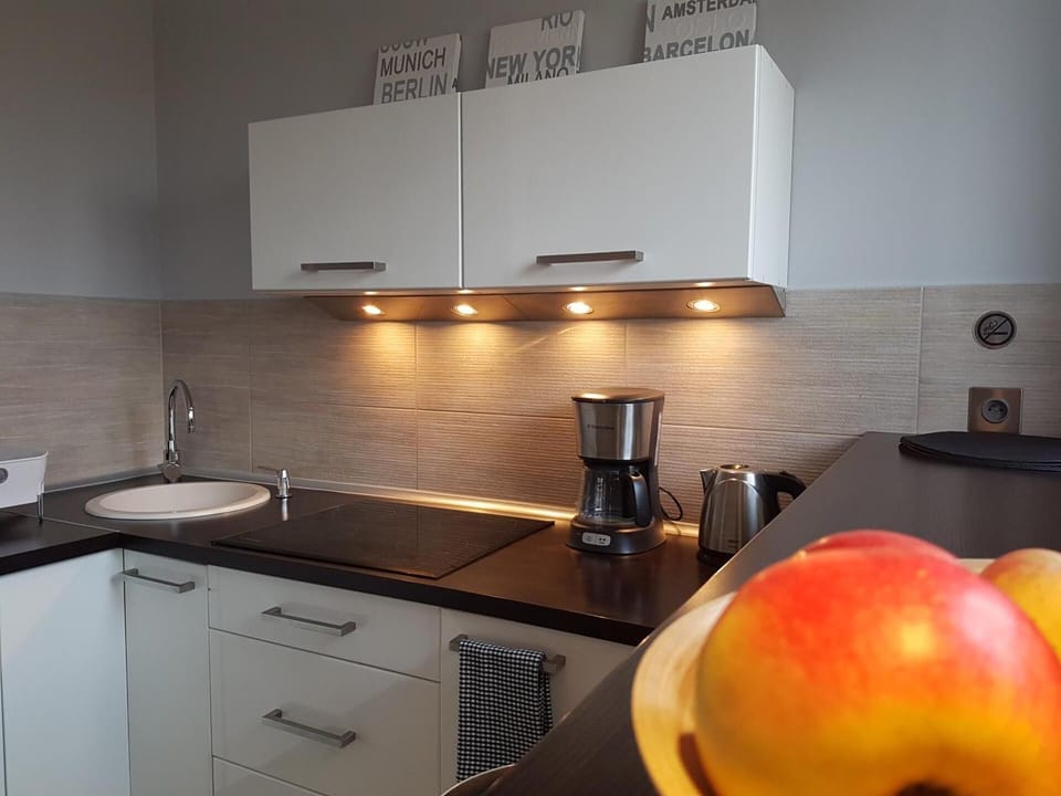 Standard Apartment | Private kitchen | Fridge, stovetop, coffee/tea maker, electric kettle