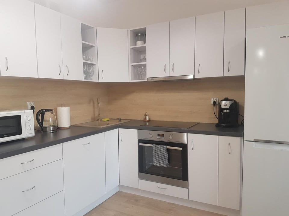 Standard Apartment | Private kitchen | Fridge, microwave, oven, stovetop