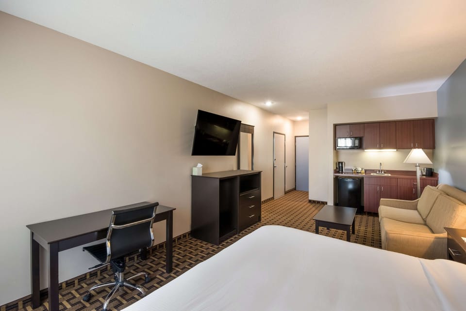 Standard Room, 1 King Bed, Non Smoking, Refrigerator & Microwave (with Sofabed) | Pillowtop beds, individually furnished, desk, laptop workspace