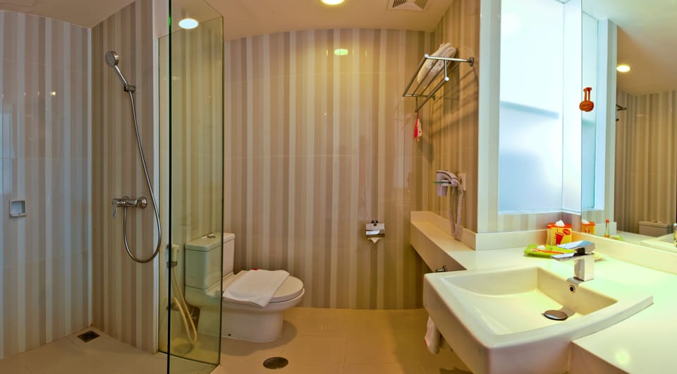 Shower, free toiletries, hair dryer, slippers