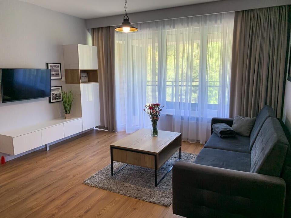 Apartment | Living room | Flat-screen TV