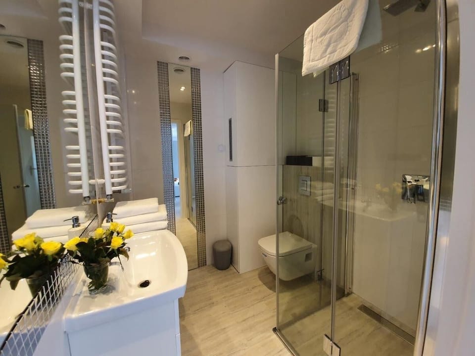 Apartment | Bathroom | Shower, hair dryer, towels, soap