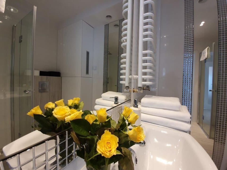 Apartment | Bathroom | Shower, hair dryer, towels, soap