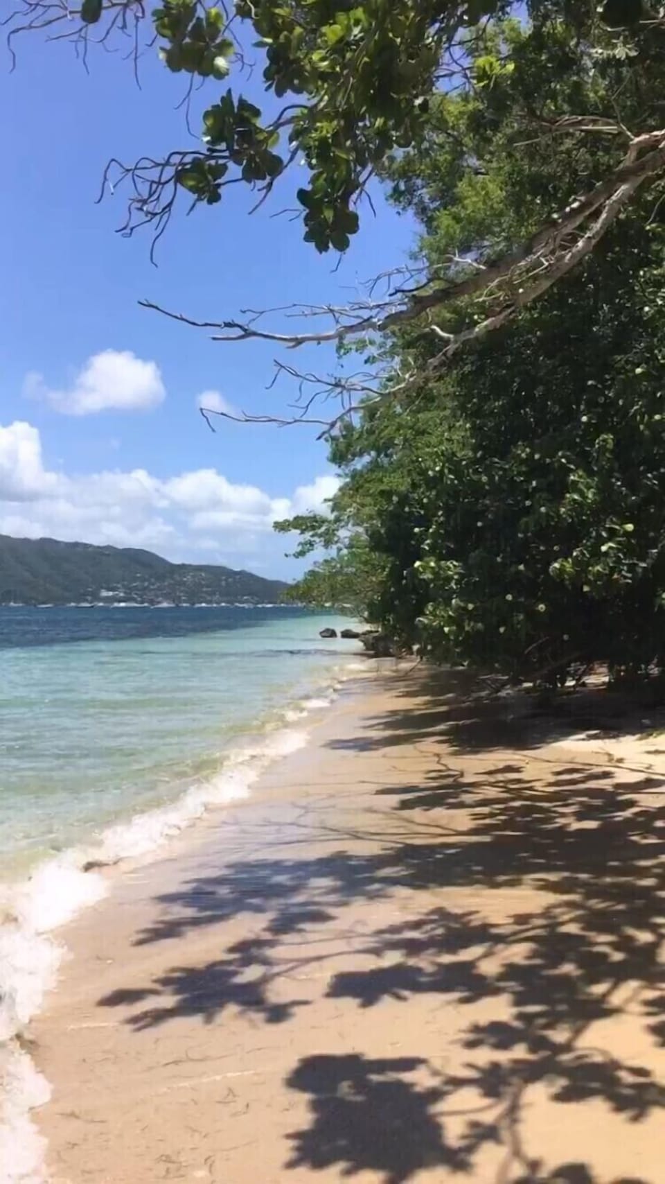 Plage à 50m
