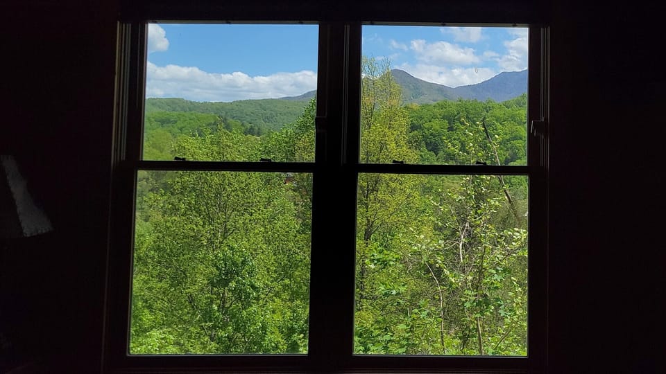 Mountain View Spring/Summer
Family Room Window