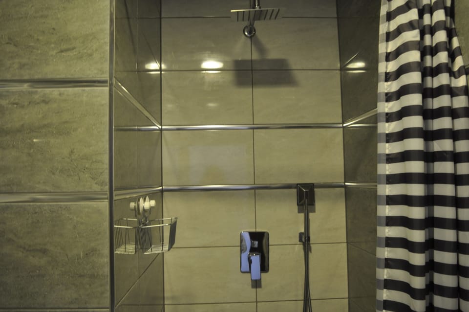 Standard Double Room | Bathroom | Shower, rainfall showerhead, hair dryer, towels