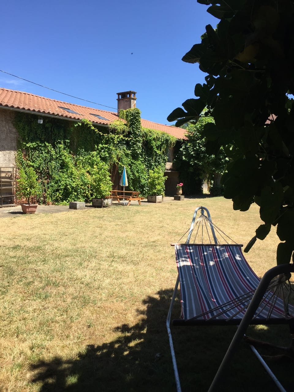 Gite (Saint Sever des Pyrenees) and hammock