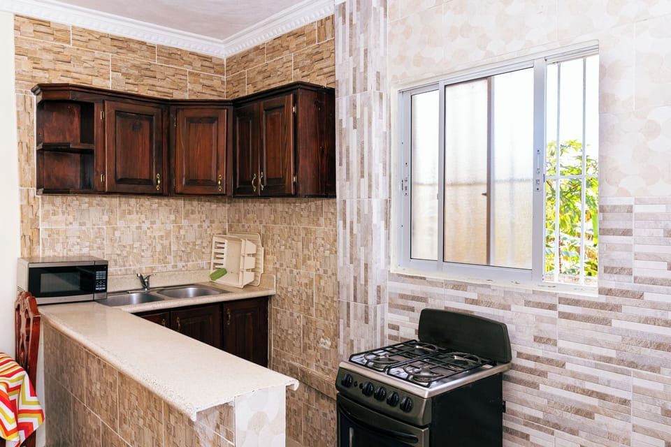 Comfort Apartment, 1 Bedroom, Air conditioning, City View | Private kitchen | Fridge, microwave, blender, dining tables