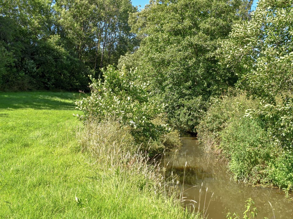 Garden and grounds | Green Valley Retreat, Holsworthy