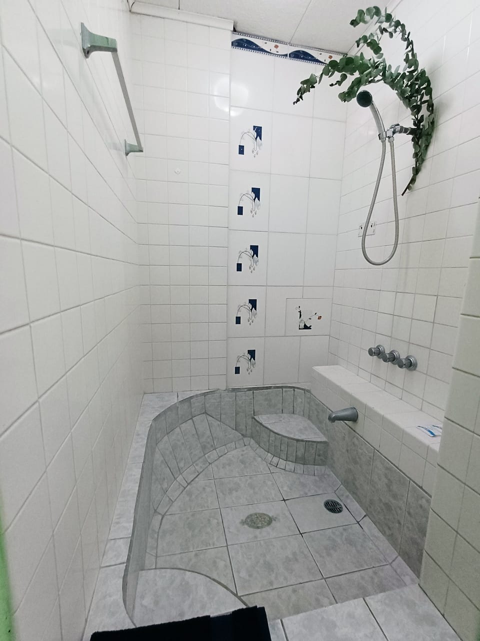 Friendly Suite | Bathroom | Shower, hair dryer, towels