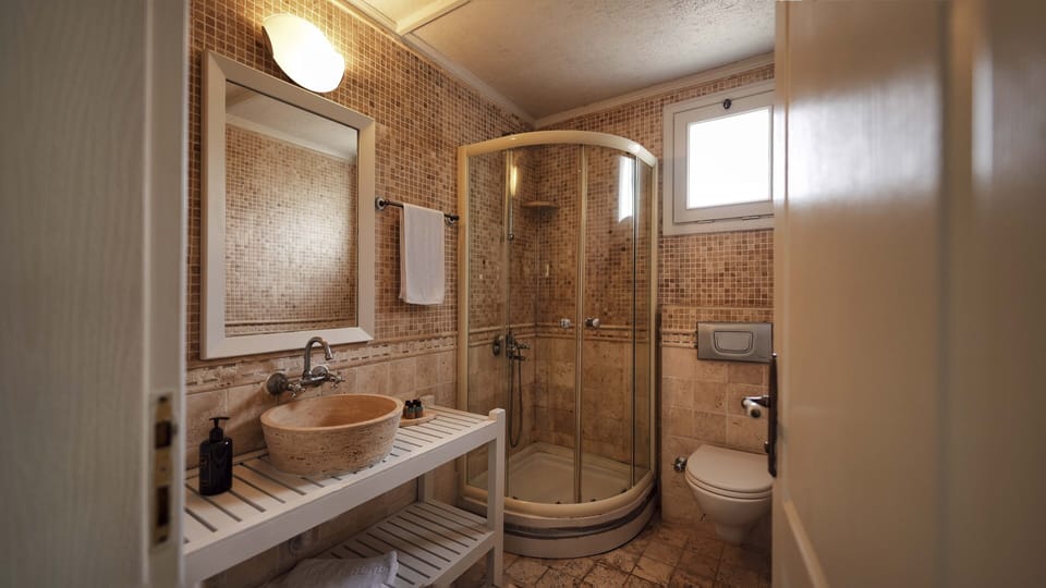 Traditional Room | Bathroom | Shower, hydromassage showerhead, free toiletries, hair dryer