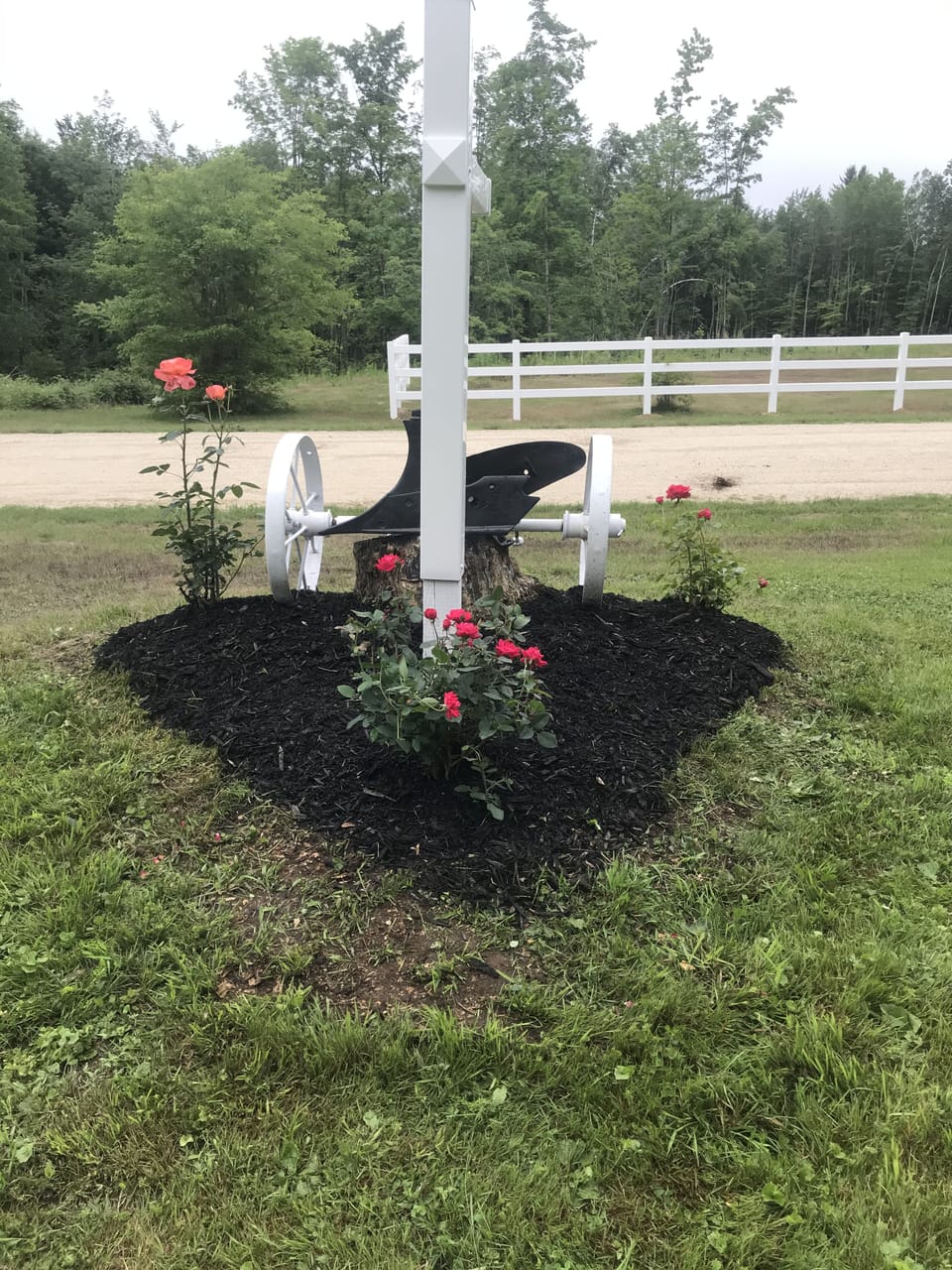 The rose's are the heart of the property, many colors.