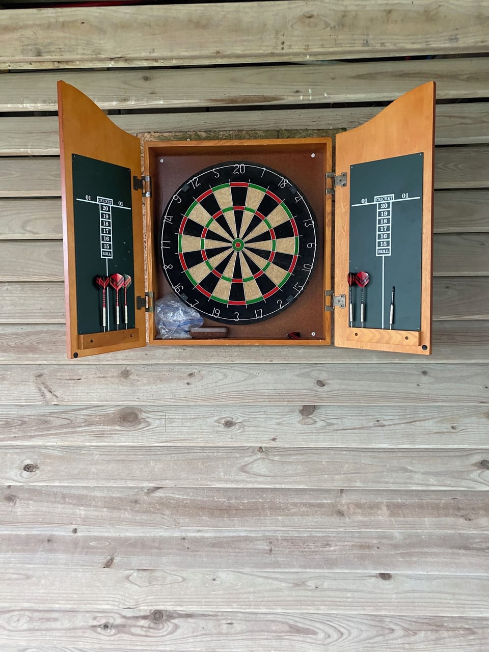Enjoy a game of darts
